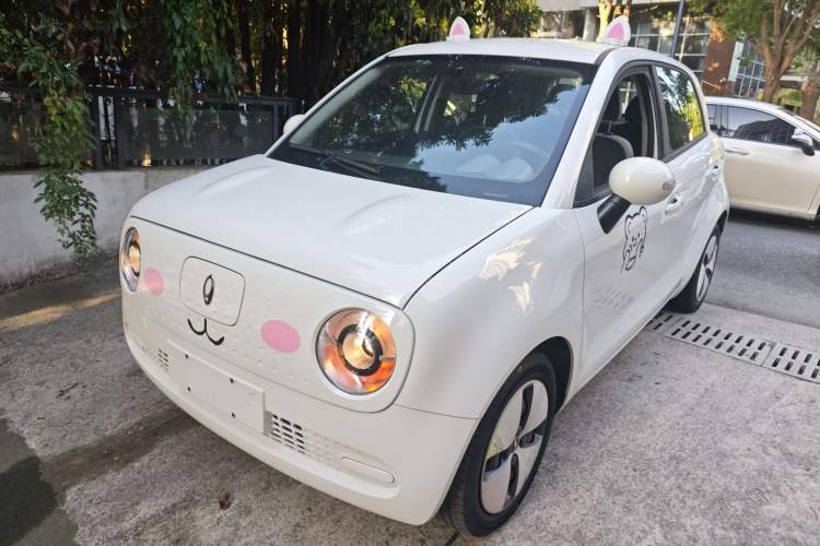 Used ORA Black Cat 2022 Updated Version 301 km Cute Pet Edition Lithium Iron Phosphate
