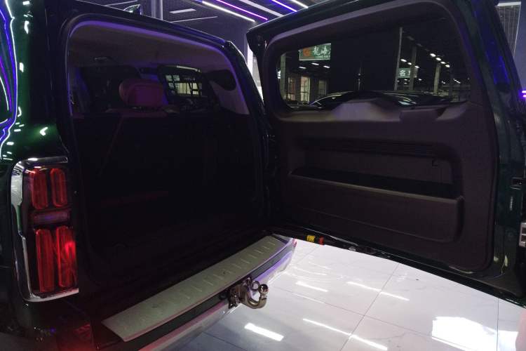 Used Tank 500 New Energy 
