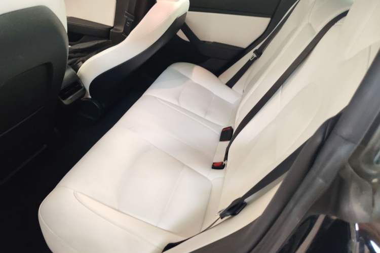 Used Tesla Model 3 2020 Standard Range Rear-Wheel Drive Upgraded Version