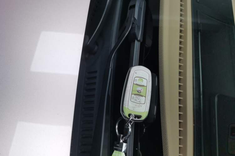 Used  Panda 2023 Panda Mini 200km Endurance Bear