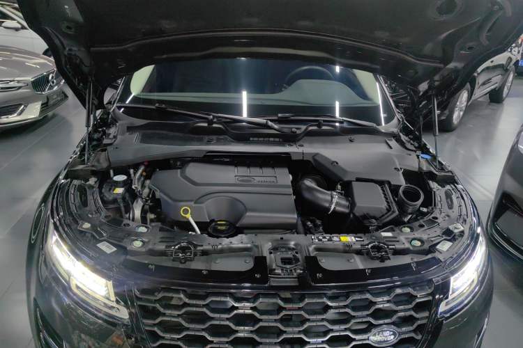 Used Land Rover Range Rover Evoque 2023 Aurora L 249 PS Luxury Edition