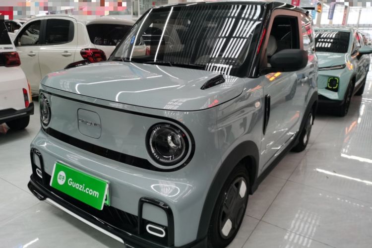 Used  Panda 2024 200km Panda Kart
