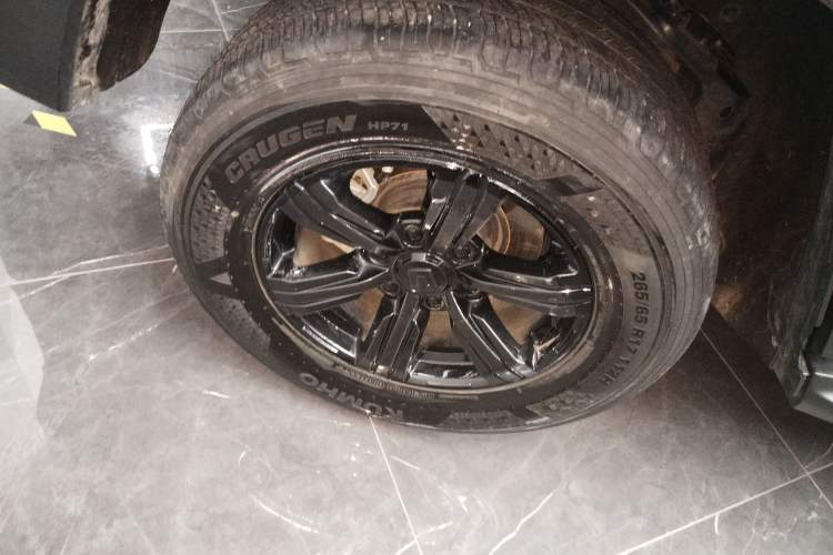 Used Tank 300 2024 2.0T Conqueror