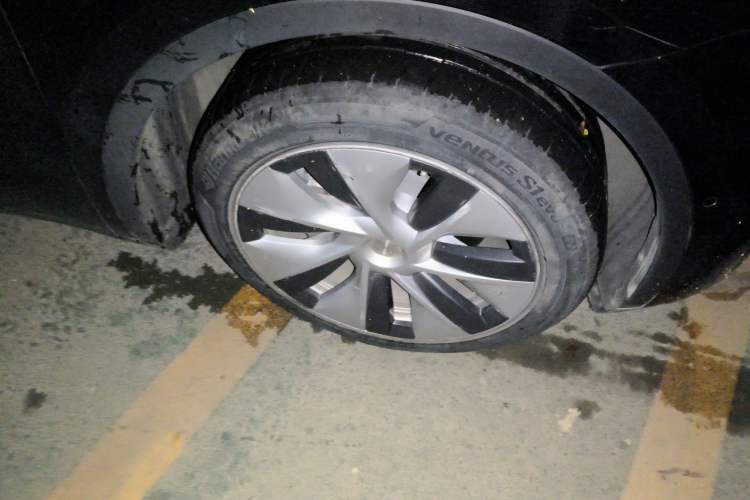 Used Tesla Model Y 2021 Standard Range Rear-Wheel Drive Version
