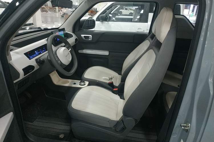 Used  Panda 2024 200km Panda Kart
