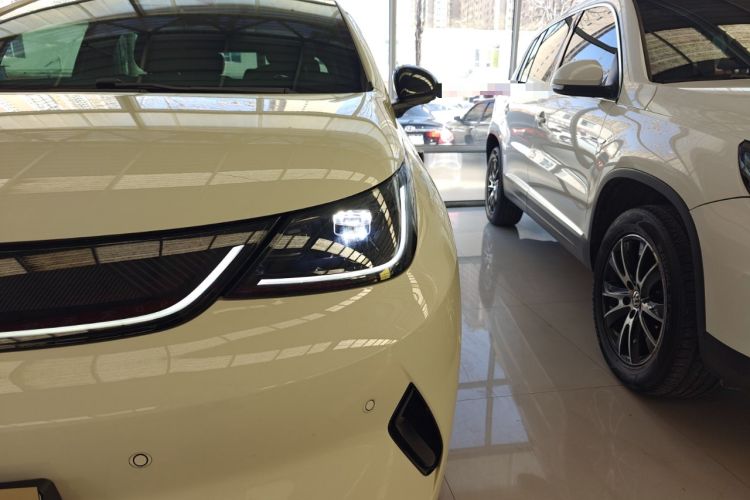 Used BYD Dolphin 2025 Smart Drive Version 420 km Freedom Edition