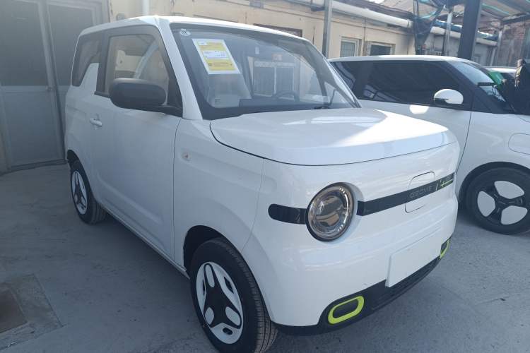 Used  Panda 2025 210 km – Yuanqi Bear
