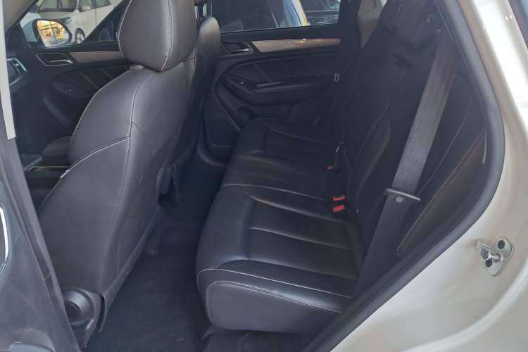 Used Roewe RX5 2018 20T Two-Wheel Drive Manual Flagship Edition