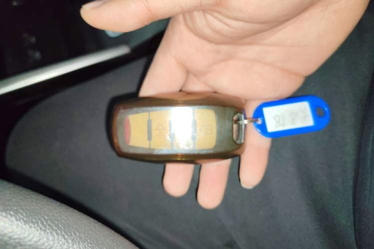 Used Great Wall Poer 2019 2.0T Commercial Version Manual Gasoline 4x4 Elite Long-Box GW4C20B
