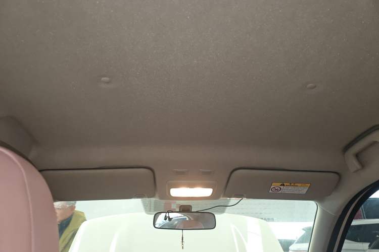 Used ORA Black Cat 2022 Updated Version 301 km Cute Pet Edition Lithium Iron Phosphate