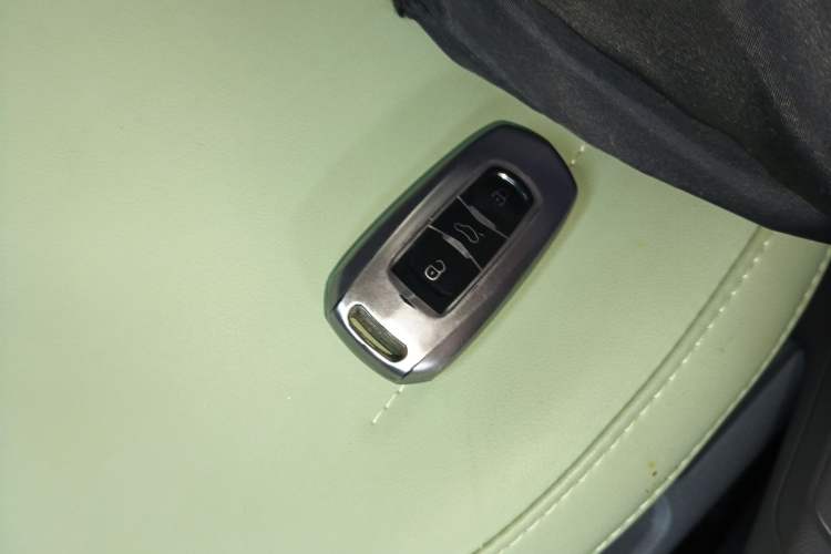 Used  Panda 2024 200km Panda Rider