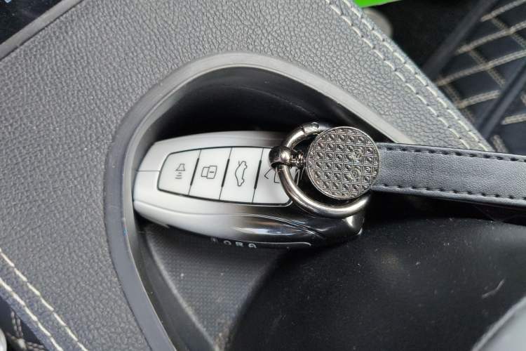 Used ORA Black Cat 2021 351 km Luxury Version