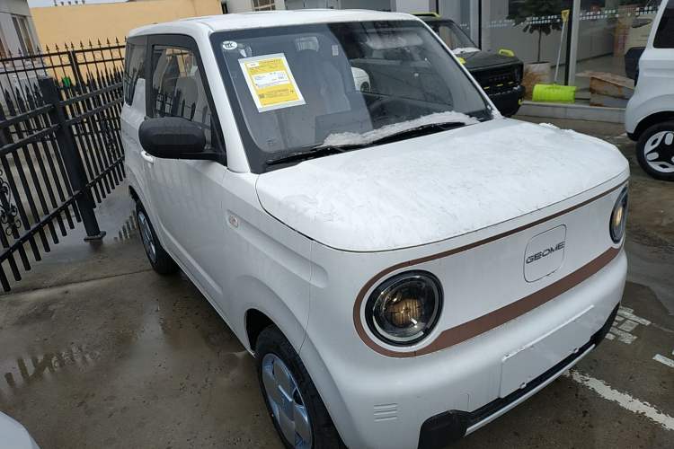 Used  Panda 2024 Panda Mini 200km Endurance Bear
