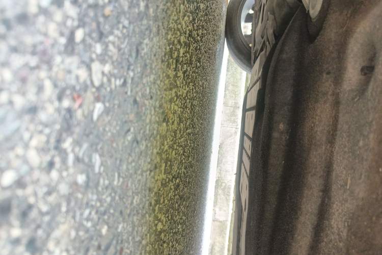 Used Volkswagen Magotan 2018 330TSI DSG Luxury Model
