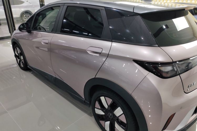 Used BYD Dolphin 2021 401km Knight Edition