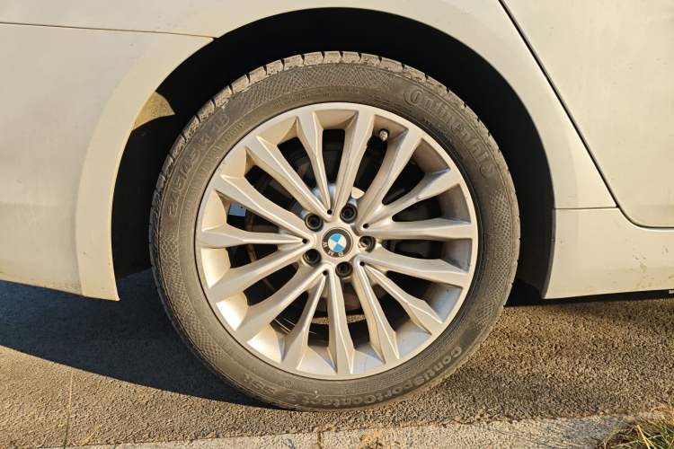 Used BMW 5 Series 2020 530Li Leading Edition Luxury Package