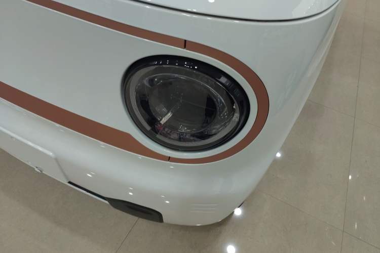 Used  Panda 2024 Panda Mini 200km Endurance Bear
