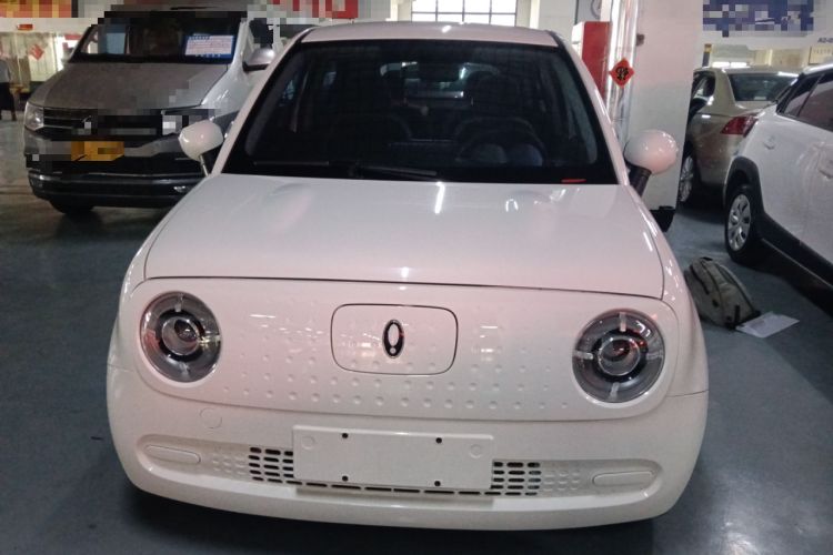 Used ORA Black Cat 2022 Updated Version 301 km Cute Pet Edition Lithium Iron Phosphate