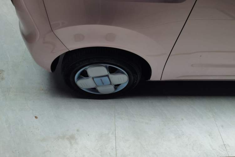 Used  Panda 2023 Panda Mini 200km Endurance Bear