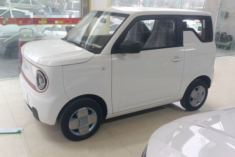 Used  Panda 2024 Panda Mini 200km Endurance Bear
