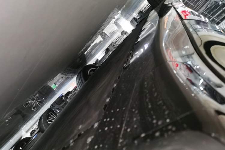 Used  07 2024 Max Pure Electric Edition
