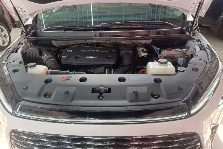 Used Buick GL8 New Energy 2024 Lu Zun Luxury Edition 7-Seater
