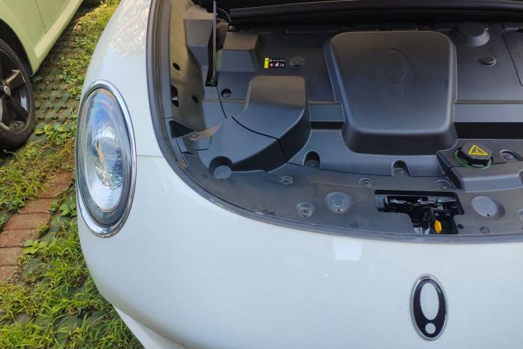 Used ORA Lightning Cat 2022 555 km Luxury Edition
