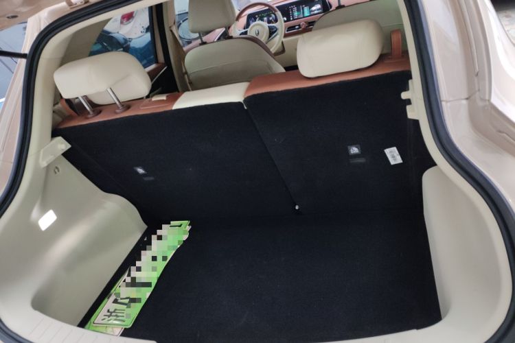 Used ORA Good Cat 2023 401 km Standard Range Luxury Version Lithium Iron Phosphate
