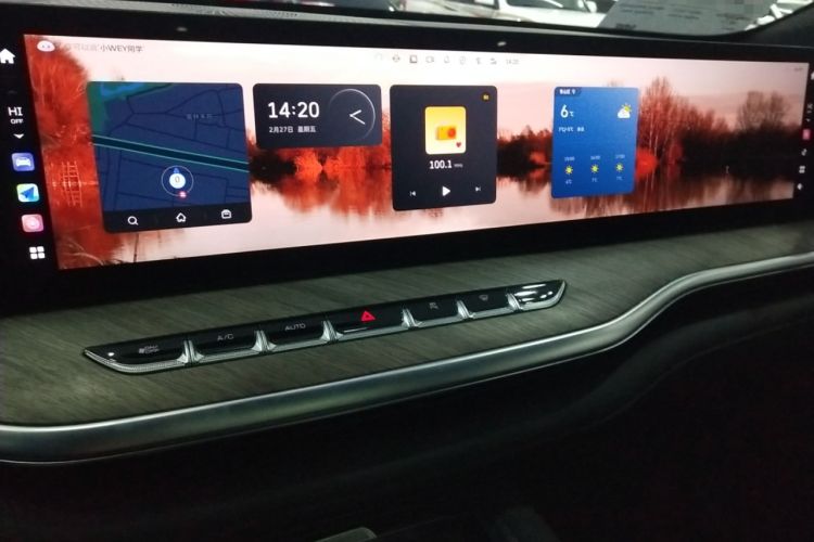 Used Wey Lanshan 2023 Four-Wheel Drive Ultra-Long Range Version