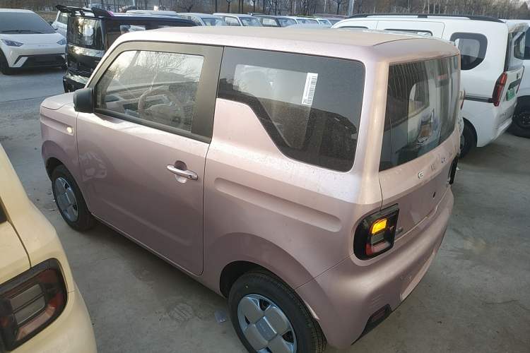 Used  Panda 2024 Panda Mini 200km Endurance Bear