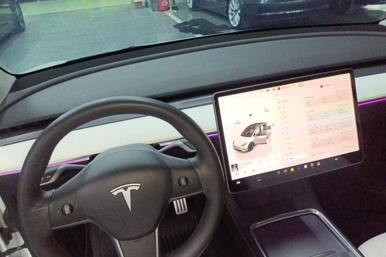 Used Tesla Model Y 2022 Performance High-Performance All-Wheel-Drive Version