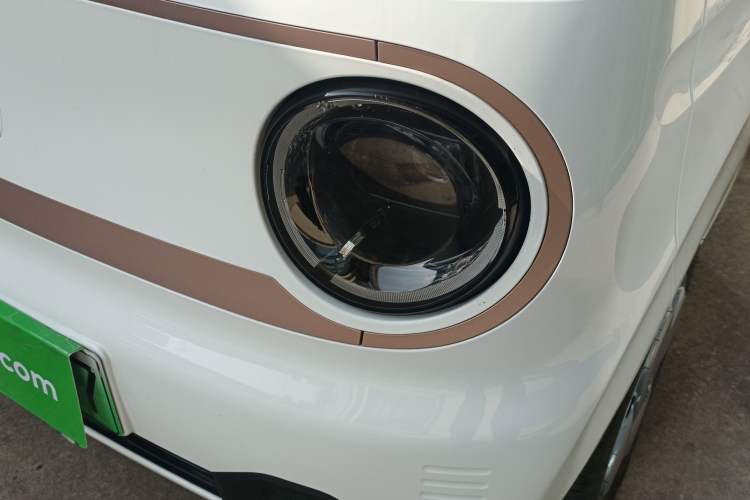 Used  Panda 2024 Panda Mini 200km Endurance Bear
