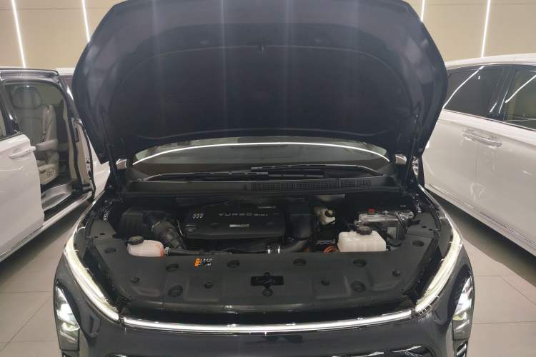 Used Buick GL8 New Energy 
