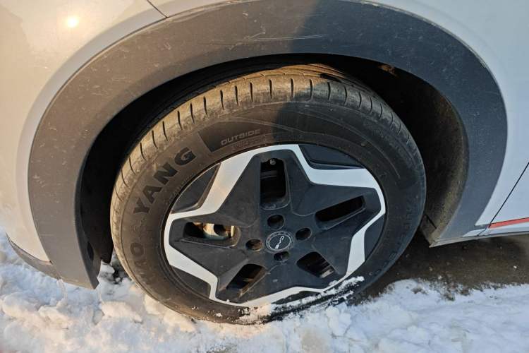 Used BYD Dolphin 2021 405 km Free Version