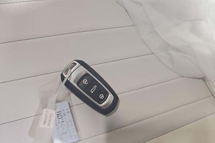 Used  Panda 2025 210km Panda Rider