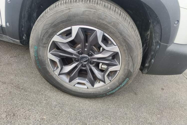 Used Haval DARGO 2024 2.0T DCT Chinese Rural Dog Edition