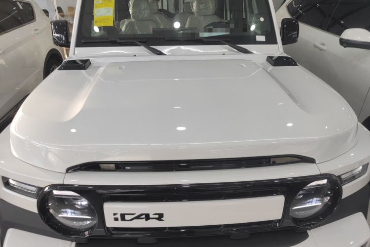 Used  V23 2025 401 Two-Wheel Drive Advanced Edition
