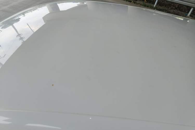 Used Volkswagen Polo 2018 1.5L Automatic Advanced Driving Model
