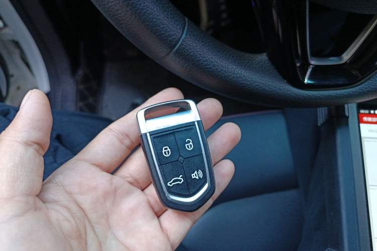 Used BORGWARD BX5 2020 20TGDI Automatic Two-Wheel Drive Pioneer Edition
