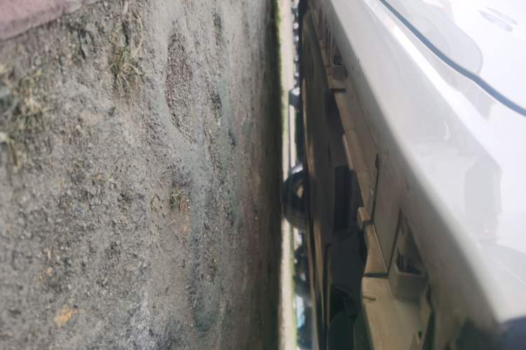 Used Toyota Corolla 2021 Dual-Motor 1.8L E-CVT Elite Edition
