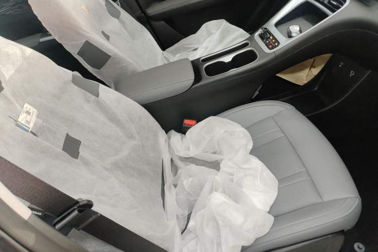 Used  Geome 2025 310km Dream Edition
