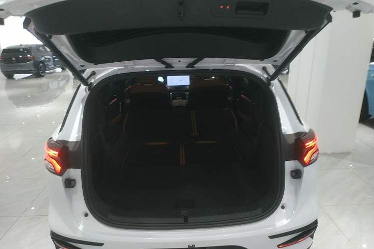 Used BYD Tang New Energy 2023 DM-i Champion Edition 112KM Prestige Model
