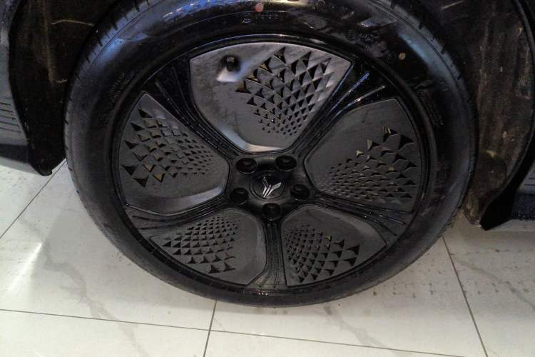 Used VOYAH COURAGE 2024 Four-Wheel Drive Global Edition