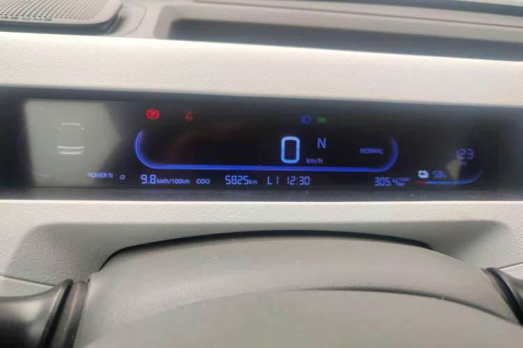 Used  Panda 2024 Panda Mini 200km Endurance Bear