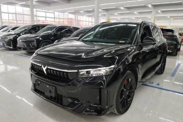 Used VOYAH FREE 2025 318 318 km Rear-Drive Touring Edition