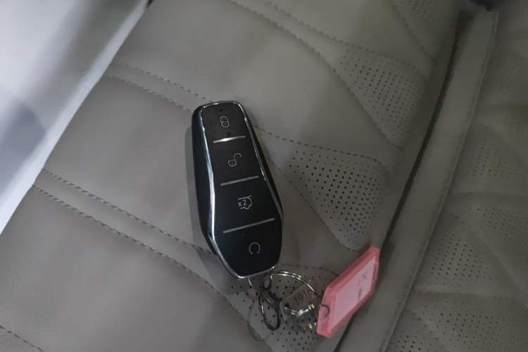 Used BYD Tang New Energy 2025 DM-i 115KM Cloud Ride Flagship Model
