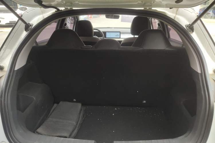 Used Geometry E Firefly 2023 401KM Linglong Tiger 5-Seater
