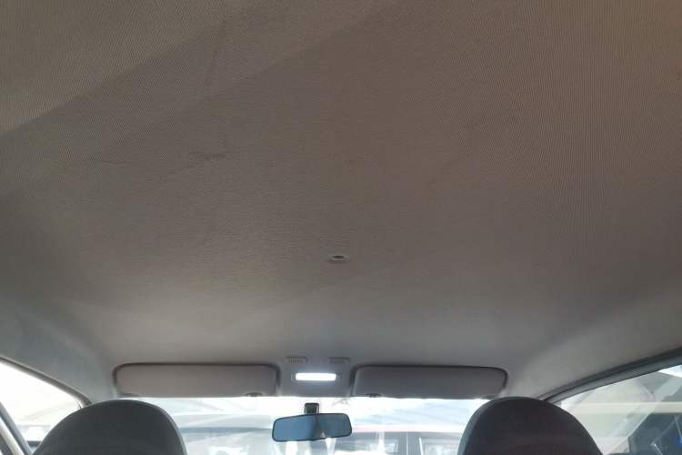 Used  Panda 2024 Panda Mini 200km Endurance Bear
