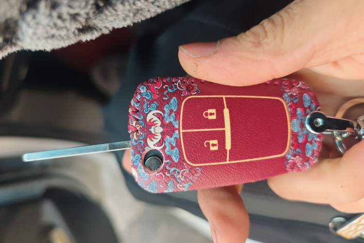 Used Chevrolet Cavalier 2019 320 Automatic Xinyue Edition