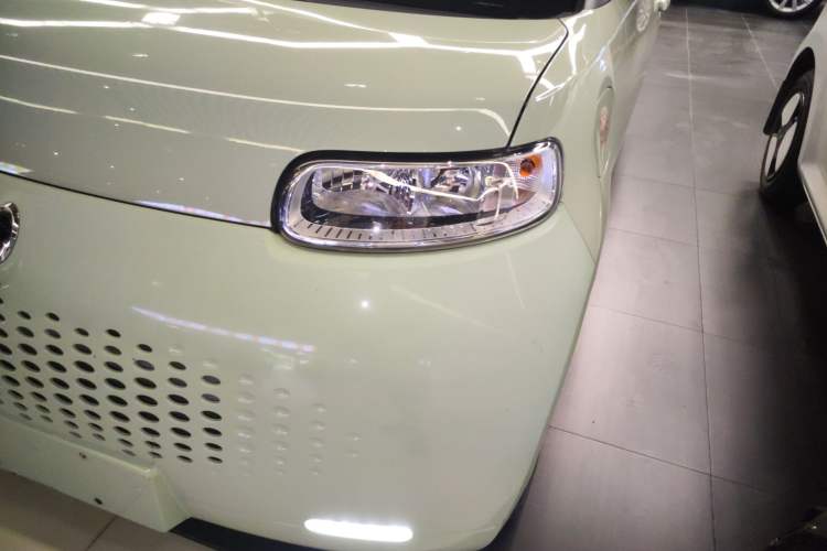 Used ORA White Cat 2020 305 km Luxury Version
